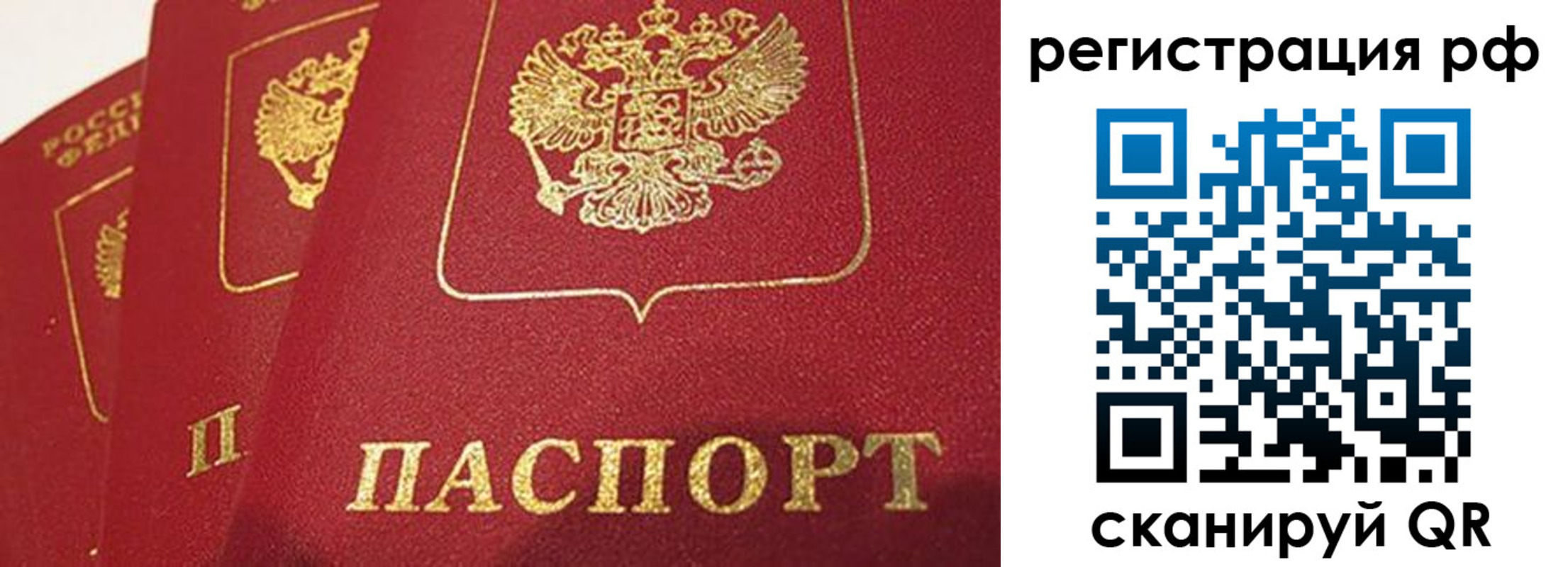 прописка в квартире в Пионерском